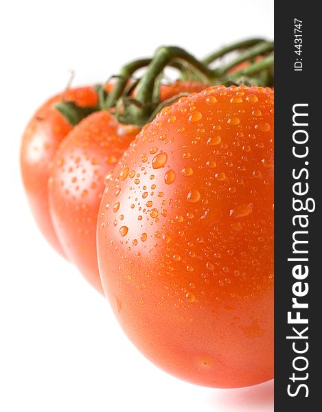 A branch of fresh red tomatoes on white background, a close-up macro