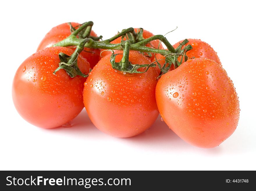 A branch of fresh red tomatoes on white background