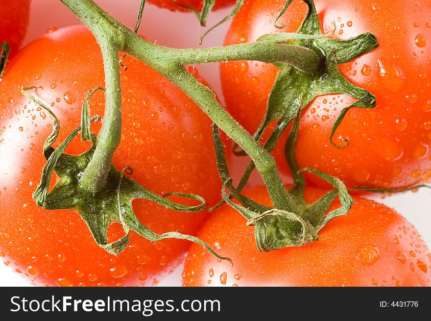 A branch of fresh red tomatoes on white background