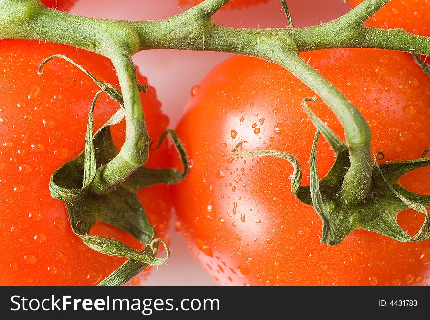 A branch of fresh red tomatoes on white background, a close-up 
macro