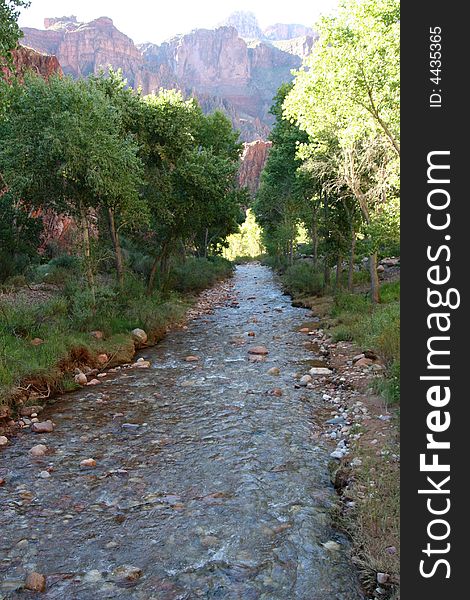 Creek in Grand Canyon NP. Creek in Grand Canyon NP