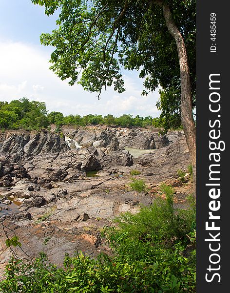 Rocky jungle river with tree growing on side