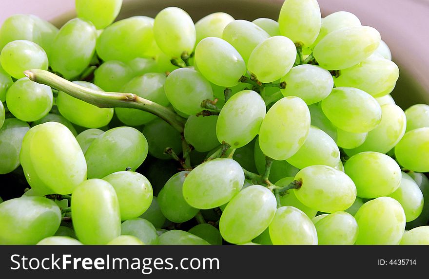Green grapes are a uniquely nourishing, cleansing and regenerative food. Grapes contain astringent tannins that are beneficial in the fight against cancer.