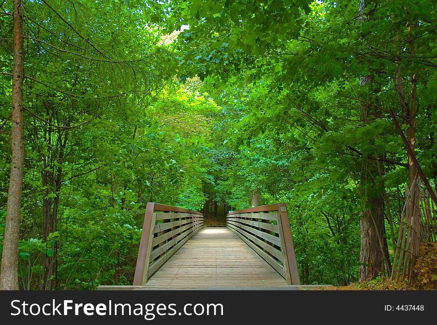 Rustic Bridge In The Woods
