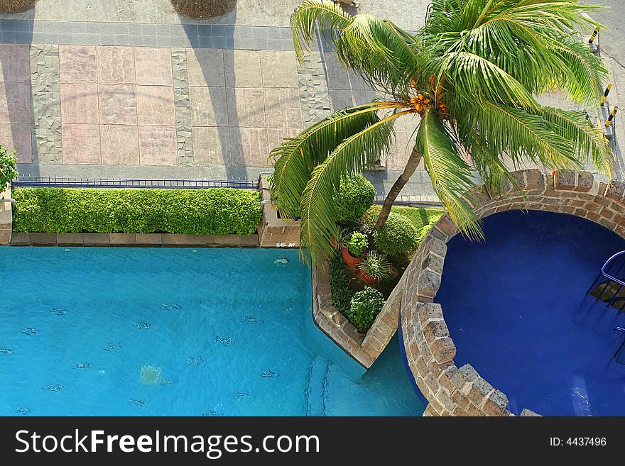 Pool with coconut tree at tropical country