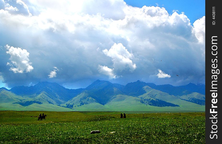 Meadow In Xinjiang-4