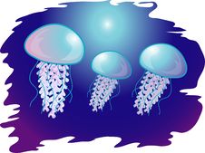 Jellyfish In The Ocean Royalty Free Stock Photos