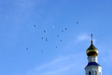 Birds On Dome Stock Image