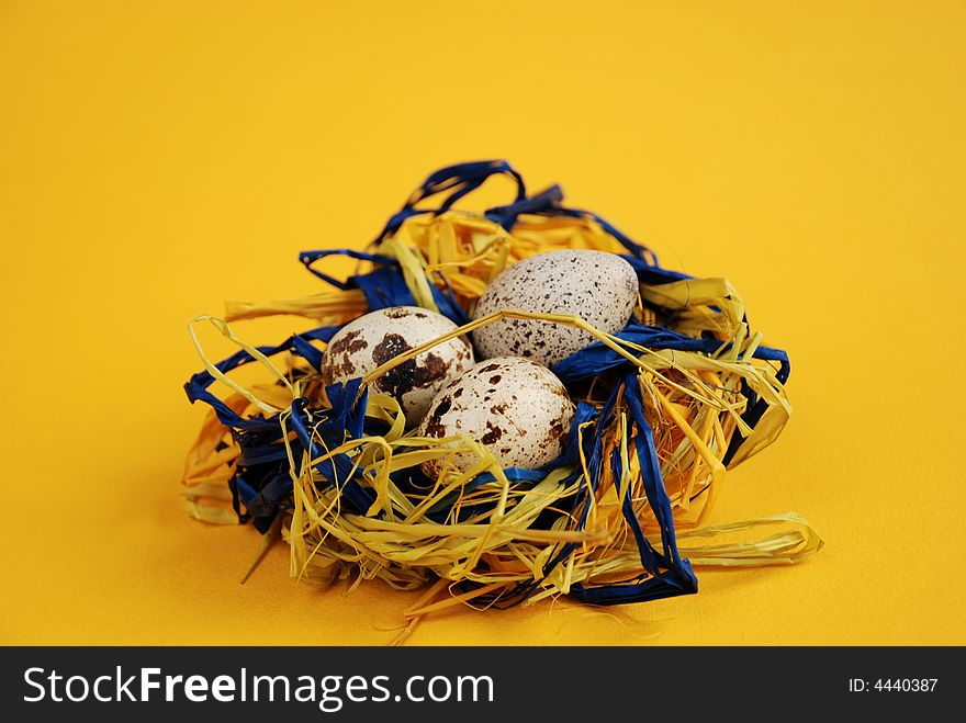 Quail mottled eggs decoration in a nest