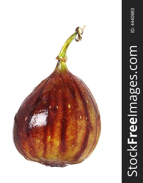 Fresh wet fig with drop of water, isoalted on white. Fresh wet fig with drop of water, isoalted on white