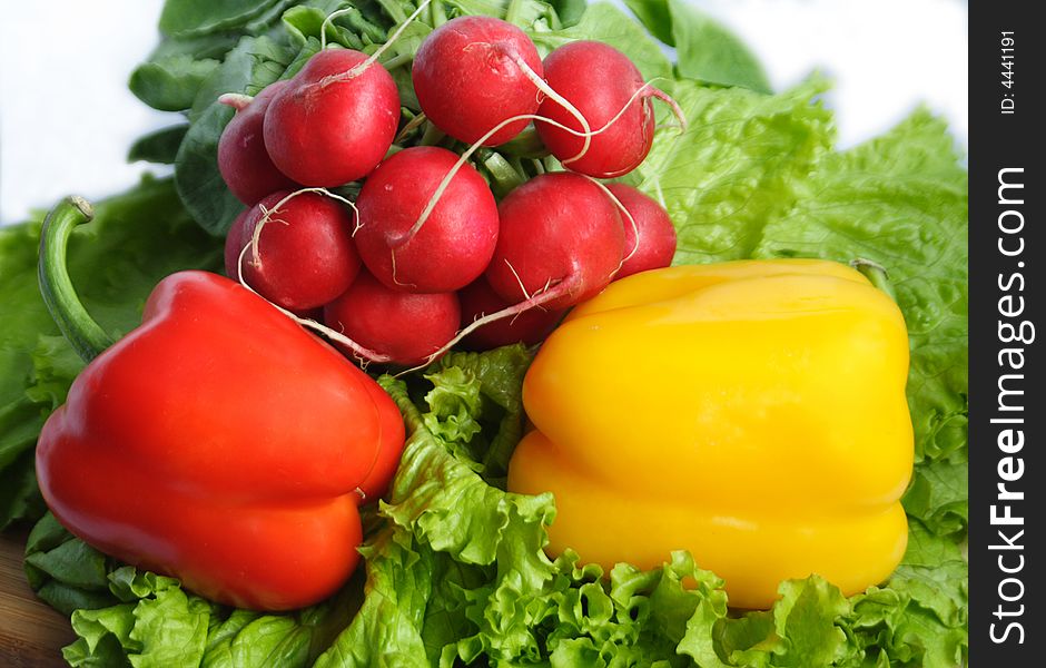 Vegetables with salad, radish and pepper on table