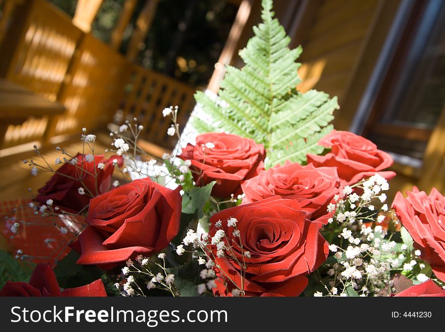 Bunch of red roses at sunlight