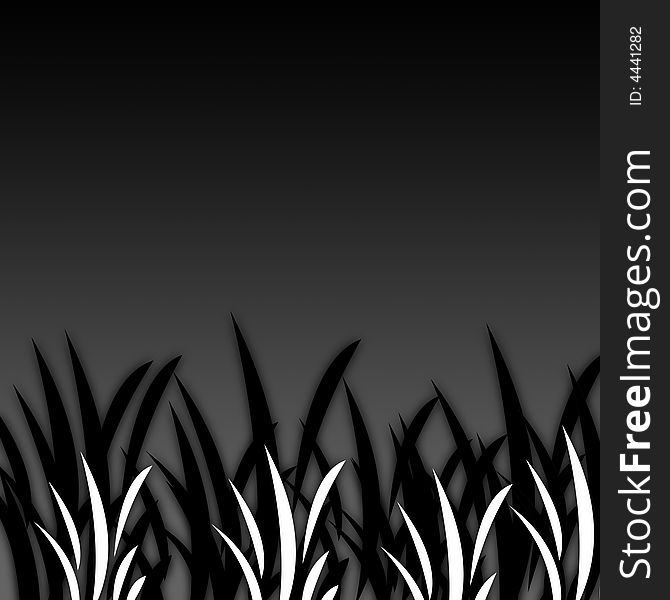 Black&White Grass [06]