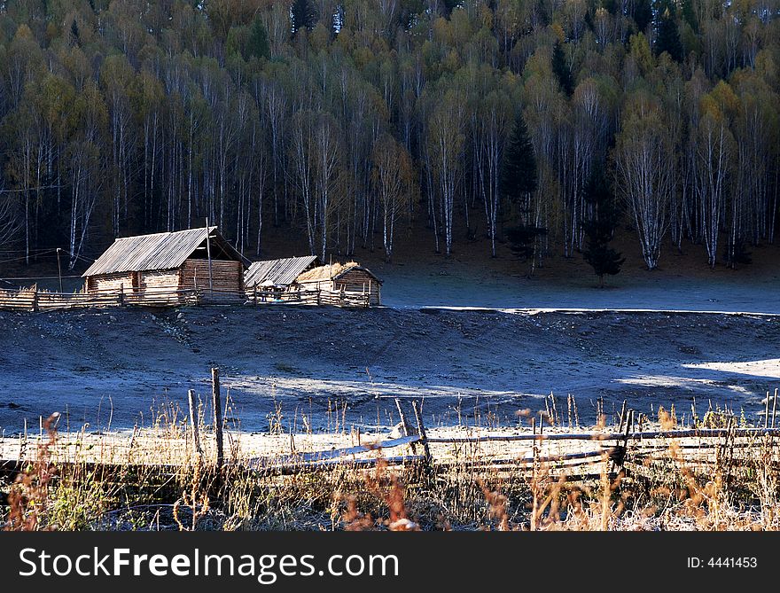 Photoed in Xinjiang, China, a small village of Hemu. Time is Automn about Oct. The moring of a small vialage, wood house with forest, and frost in grass,very silent