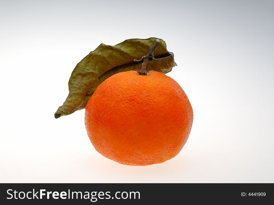 One orange tangerines on light background