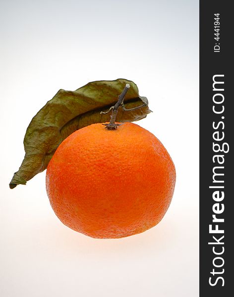 One orange tangerines on light background