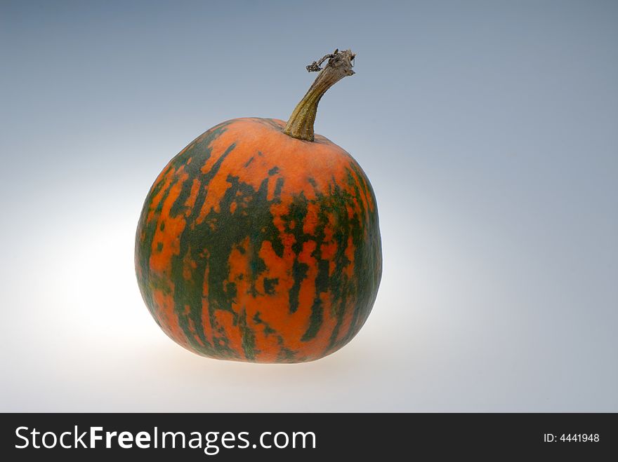 One pumpkin on light background, close up