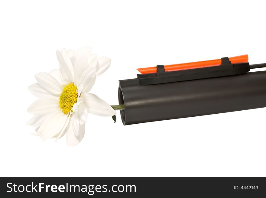 Flower sticking out from a gun-barrel isolated on white. Flower sticking out from a gun-barrel isolated on white