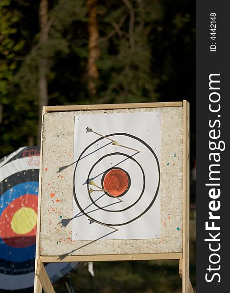 A target for archers with arrows. A target for archers with arrows