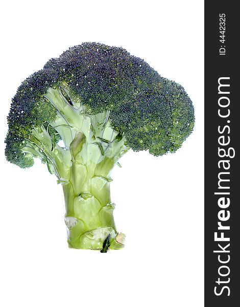 Fresh green broccoli isolated on white