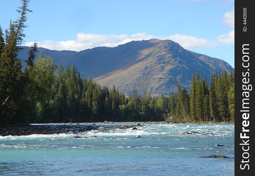 Pure natural river in mongolia with beautiful forest surroundings. Pure natural river in mongolia with beautiful forest surroundings