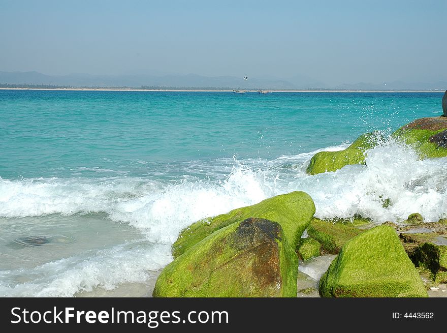 Surg&reef.Beautiful scenery in sanya,hainan,China. Surg&reef.Beautiful scenery in sanya,hainan,China