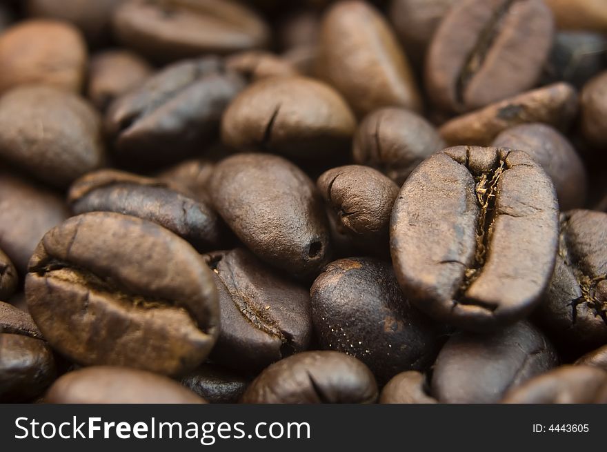 Extreme close- up of toasted coffee beans. Selective depth of focus. Extreme close- up of toasted coffee beans. Selective depth of focus