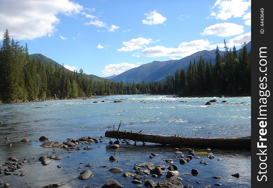 Pure natural river in mongolia with beautiful forest surroundings. Pure natural river in mongolia with beautiful forest surroundings