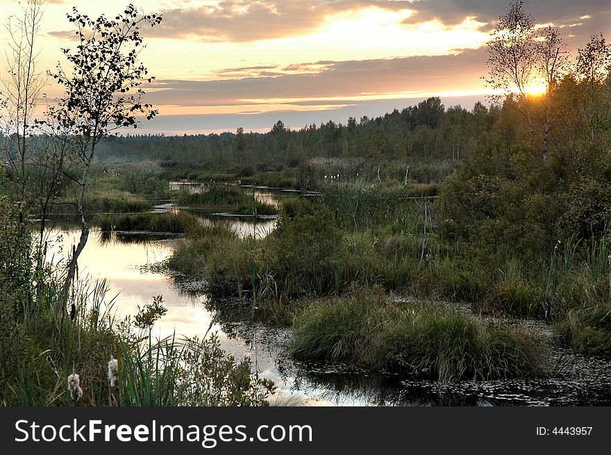 A picture of a bog and its surroundings, taken as the sun is setting in the distance. A picture of a bog and its surroundings, taken as the sun is setting in the distance.