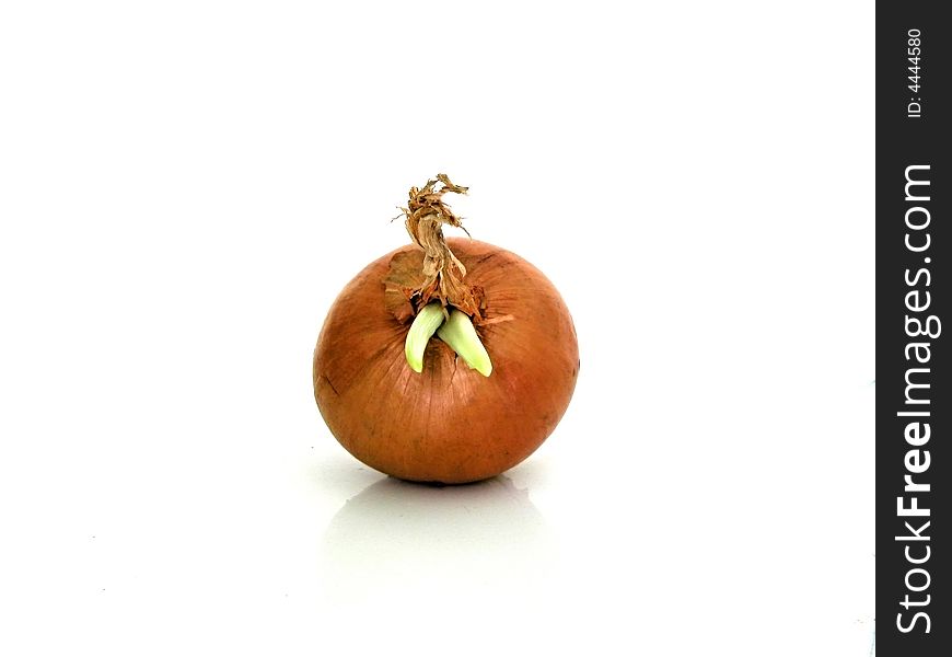 An onion isolated on a white background. An onion isolated on a white background
