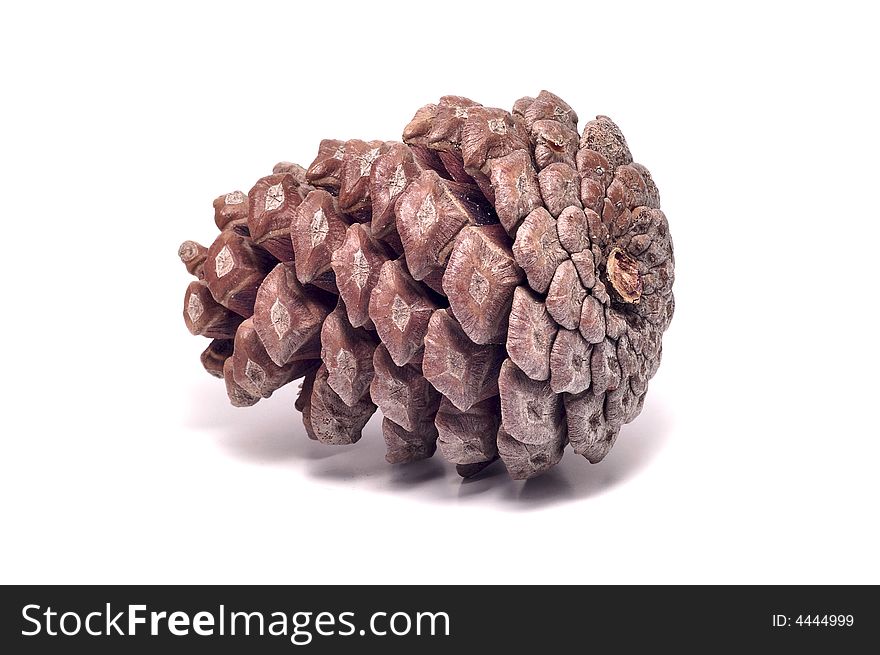 Brown cone laying isolated on white.