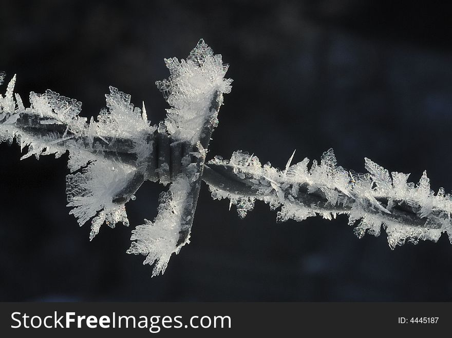 Barbwire with ice crystals in winter. Barbwire with ice crystals in winter