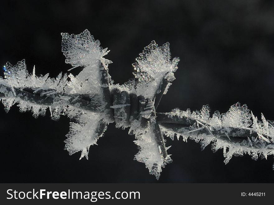 Barbwire with ice crystals in winter. Barbwire with ice crystals in winter
