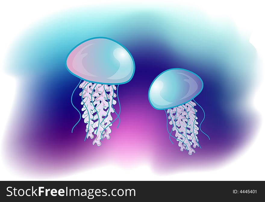 Illustration of two jellyfish in the ocean.