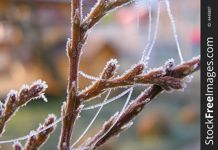 Frozen nature laves in winter time