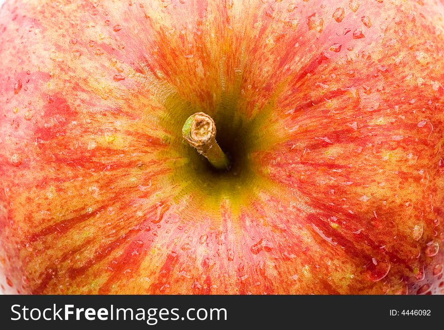 A fresh red wet apple. A fresh red wet apple