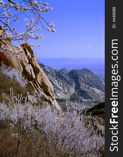 FengHuang hill of BeiJing,in the spring .