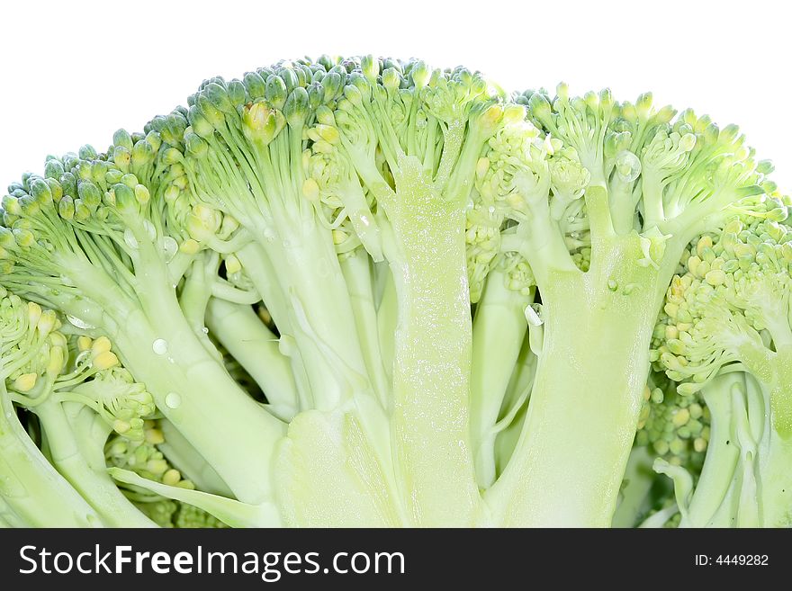 Close up of wet broccoli