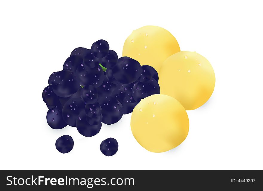 Grape and three lemons. Illustration. Grape and three lemons. Illustration