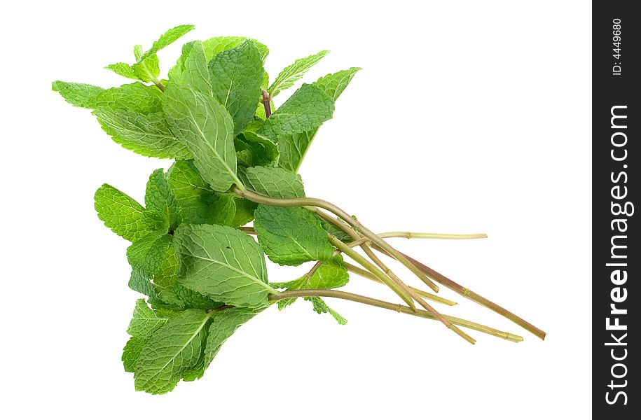 Fresh mint herb isolated on a white background