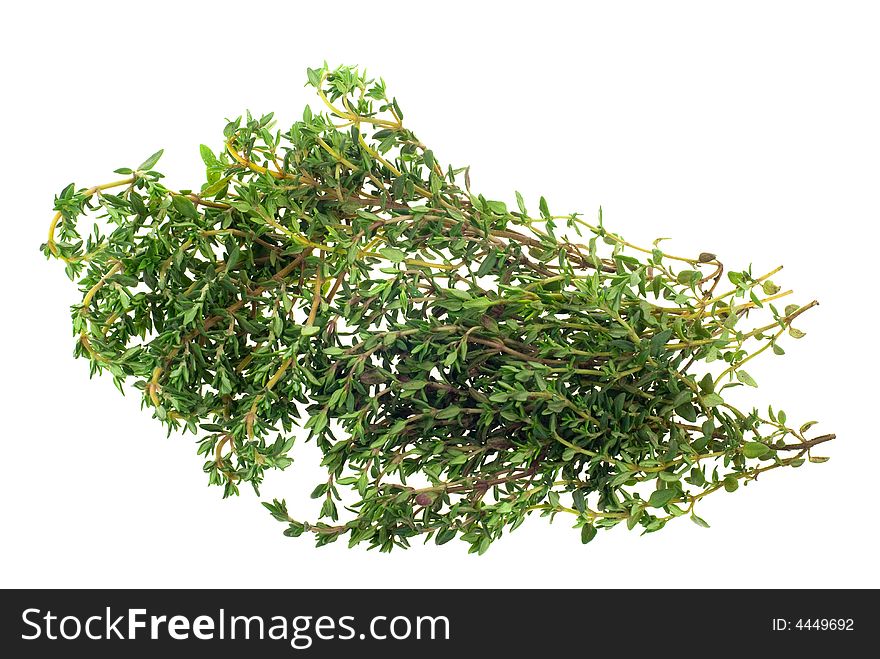 Fresh thyme herb isolated on a white background