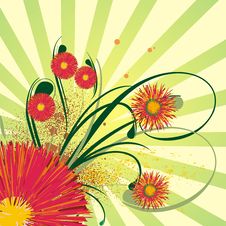 Abstract Floral Background Royalty Free Stock Photography Abstract Floral Background Royalty Free Stock Photography