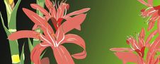 Abstract Floral Background Royalty Free Stock Photos Abstract Floral Background Royalty Free Stock Photos