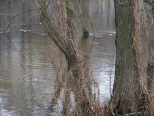 The River In The Spring Royalty Free Stock Photo The River In The Spring Royalty Free Stock Photo