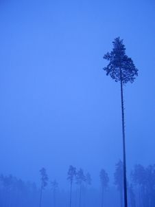Loneliness Royalty Free Stock Photo Loneliness Royalty Free Stock Photo