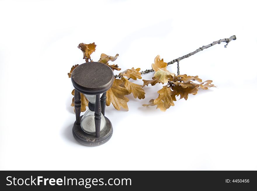 Sand-glass and fall oak on white background. Sand-glass and fall oak on white background