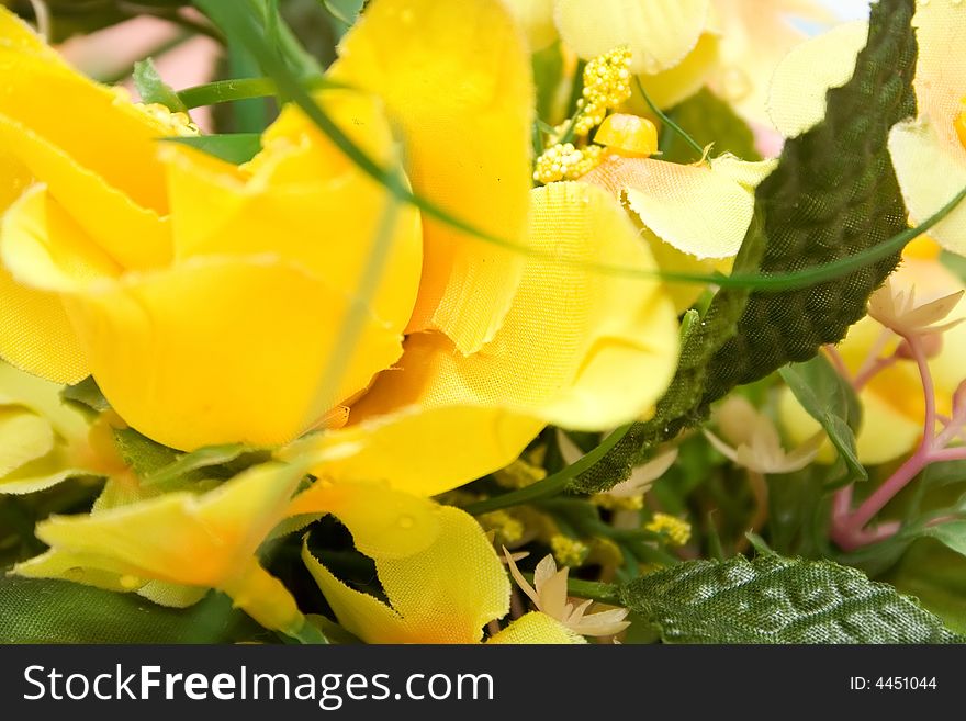 Yellow Flower Background