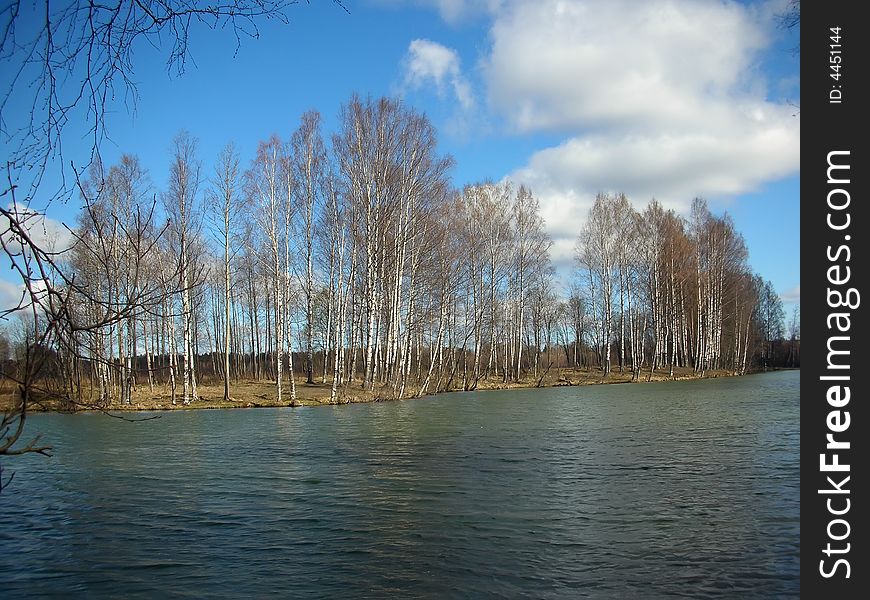 Trees on coast of small lake in good day