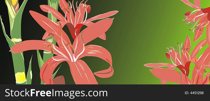 Abstract floral background, abstract flower background