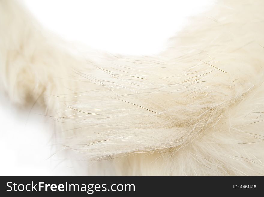 Animal fluff on the white background